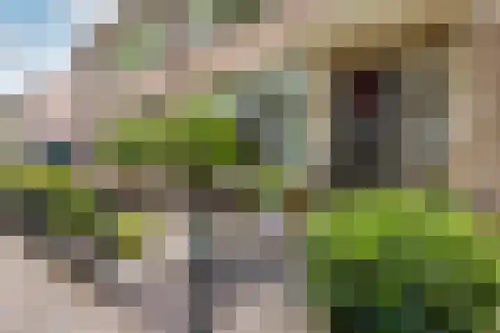 Koningin Julianasingel 6 Benschop thumbnail 49