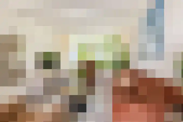 Koningin Julianasingel 6 Benschop thumbnail 5