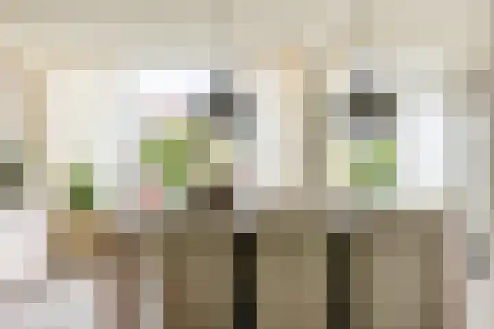 Koningin Julianasingel 6 Benschop thumbnail 9