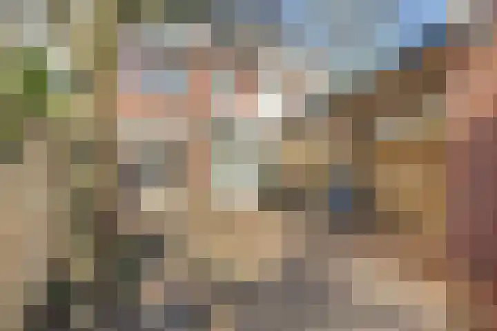 Koningin Julianasingel 9 Benschop thumbnail 21