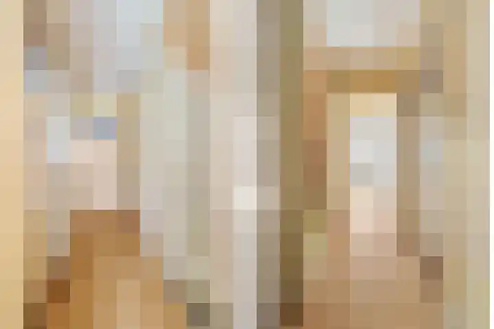 Koningin Julianasingel 9 Benschop thumbnail 26