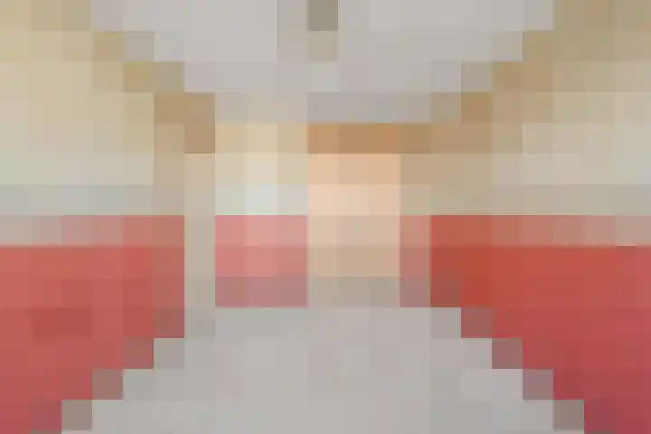 Koningin Julianasingel 9 Benschop thumbnail 29