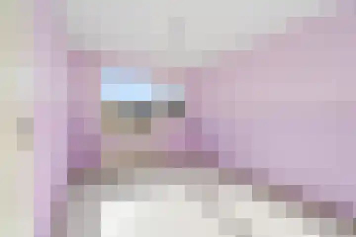 Koningin Julianasingel 9 Benschop thumbnail 32