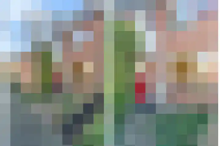 Koningin Julianasingel 9 Benschop thumbnail 4
