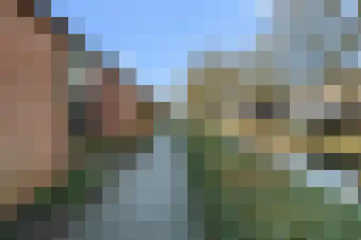 Koningin Julianasingel 9 Benschop thumbnail 48