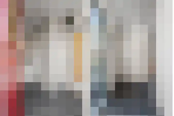 Koningin Julianasingel 9 Benschop thumbnail 5