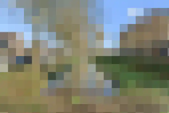 Koningin Julianasingel 9 Benschop thumbnail 50