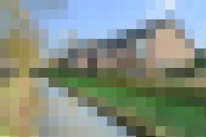 Koningin Julianasingel 9 Benschop thumbnail 53