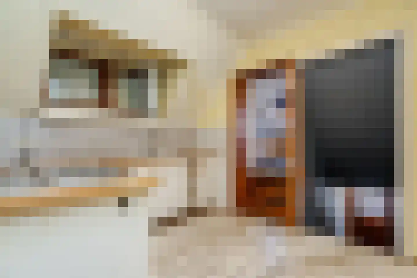 Koningin Julianastraat 1 Bunde thumbnail 18