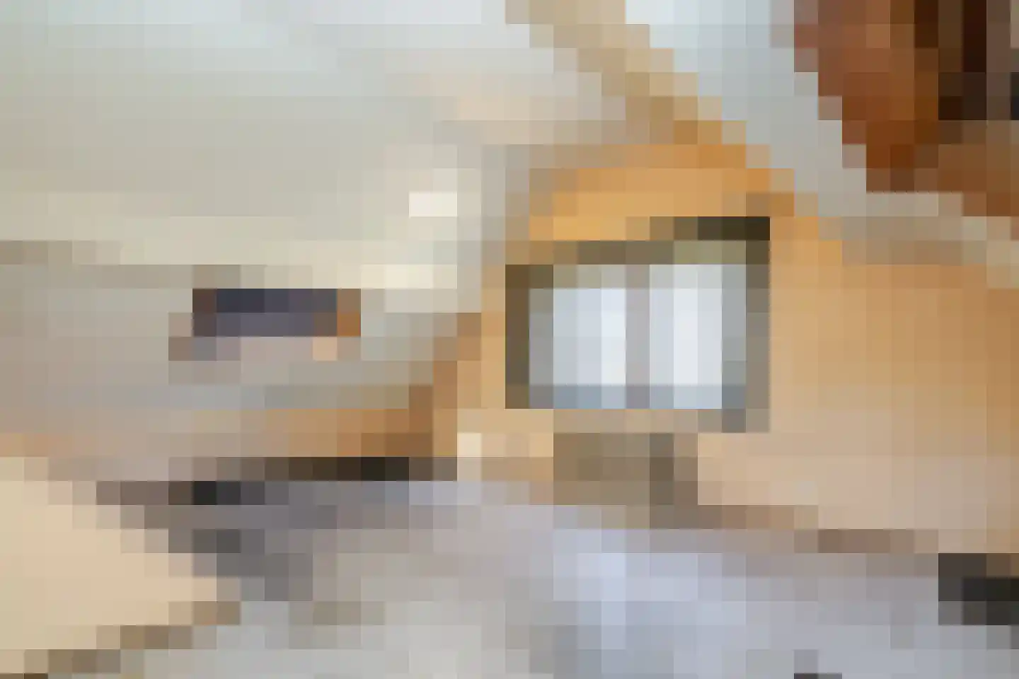 Koningin Julianastraat 1 Bunde thumbnail 19