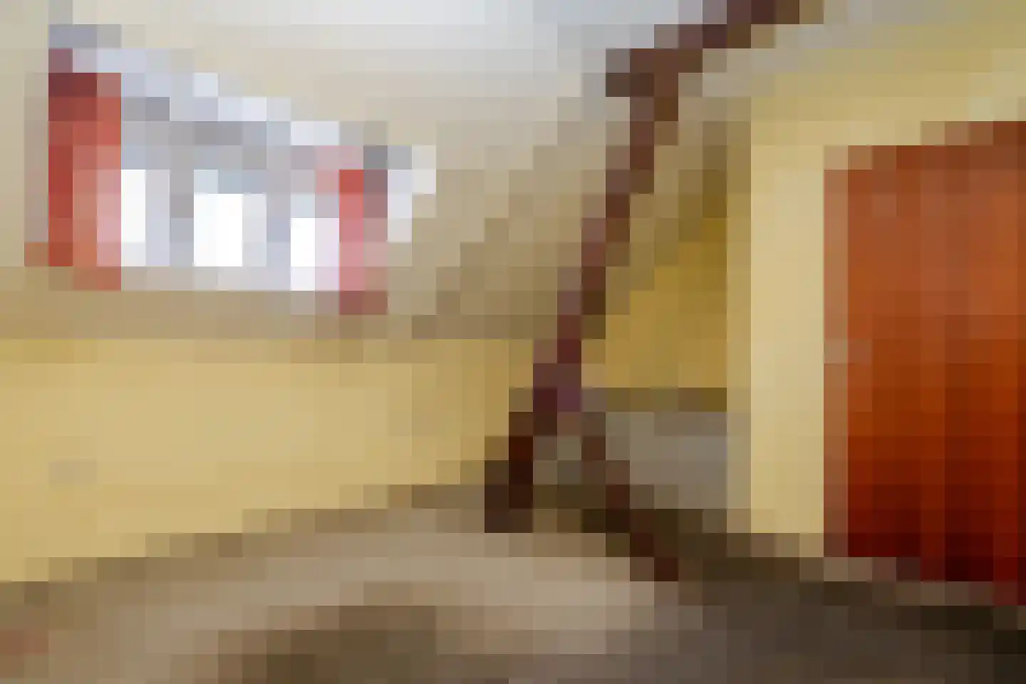 Koningin Julianastraat 1 Bunde thumbnail 20