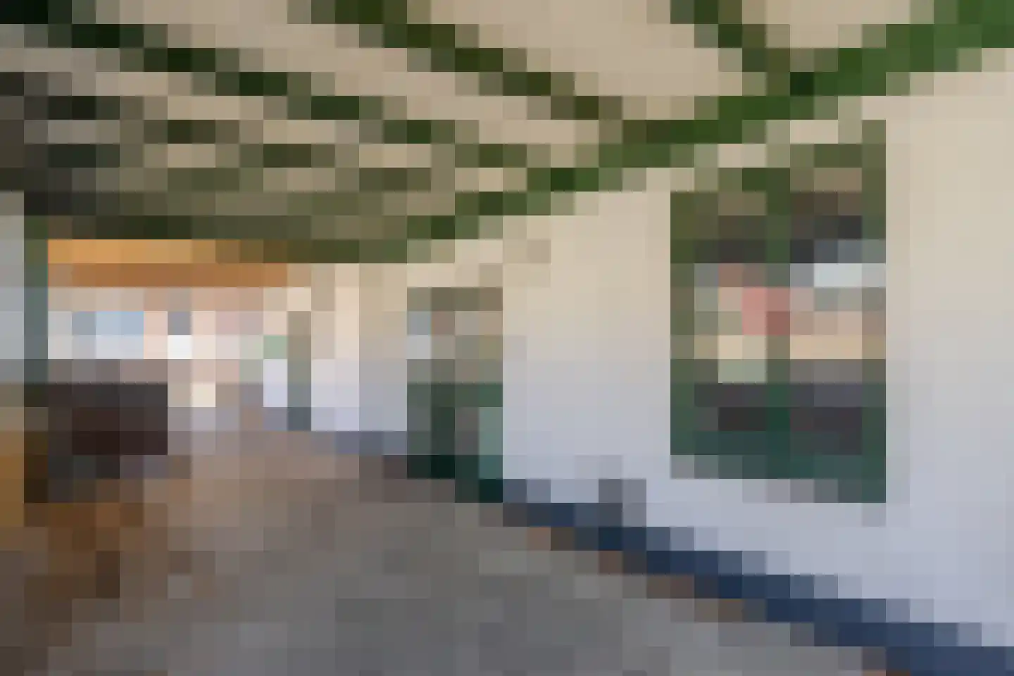 Koningin Julianastraat 1 Bunde thumbnail 24