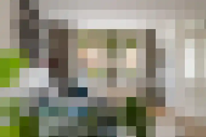 Koningin Julianastraat 101 Beesd thumbnail 12