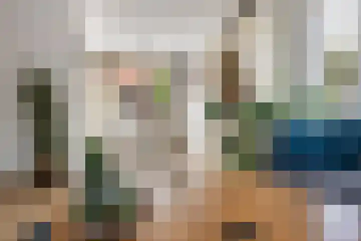 Koningin Julianastraat 101 Beesd thumbnail 14