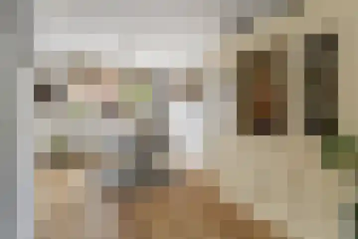 Koningin Julianastraat 101 Beesd thumbnail 15