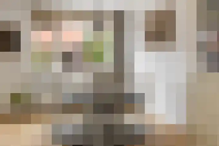 Koningin Julianastraat 101 Beesd thumbnail 16