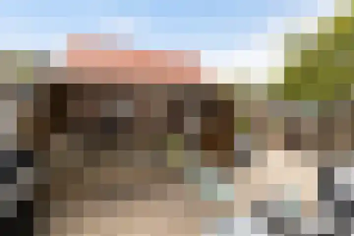 Koningin Julianastraat 101 Beesd thumbnail 26
