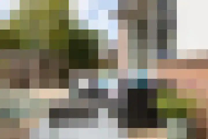 Koningin Julianastraat 101 Beesd thumbnail 30
