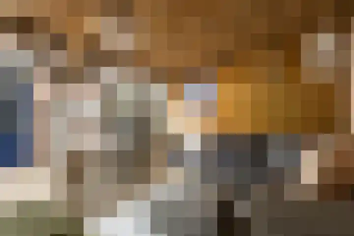 Koningin Julianastraat 101 Beesd thumbnail 32