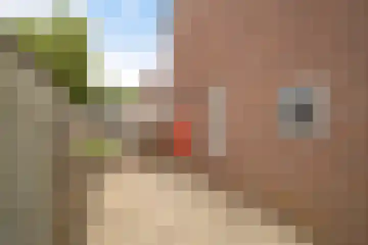 Koningin Julianastraat 101 Beesd thumbnail 33