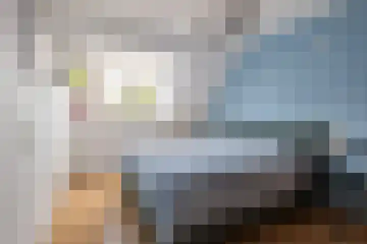 Koningin Julianastraat 101 Beesd thumbnail 40