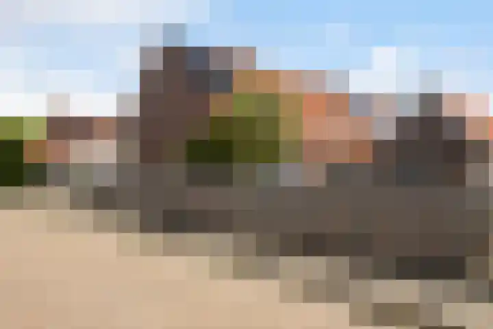 Koningin Julianastraat 101 Beesd thumbnail 53