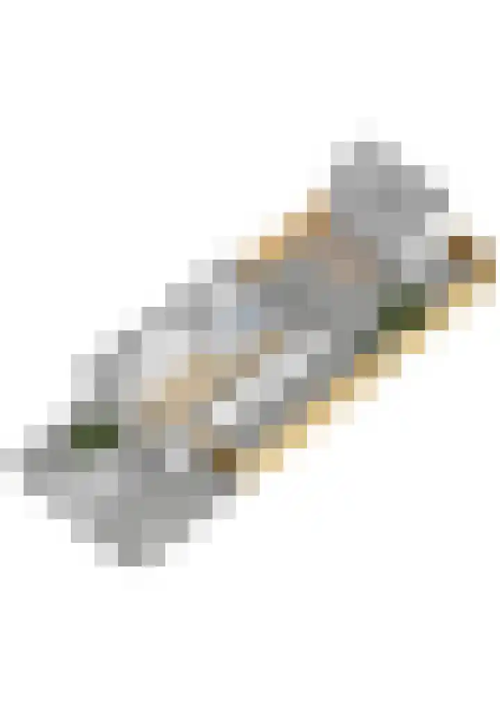 Koningin Julianastraat 101 Beesd thumbnail 61