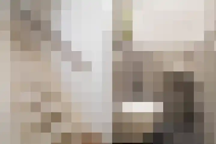 Koningin Julianastraat 101 Beesd thumbnail 9