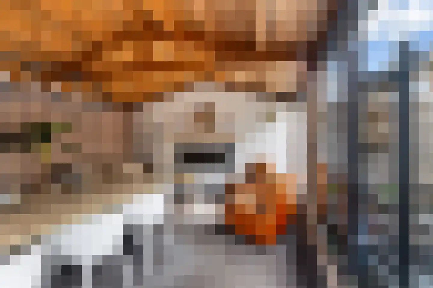 Koningin Julianastraat 11 Berkenwoude thumbnail 18
