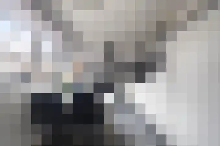 Koningin Julianastraat 113 Tholen thumbnail 17