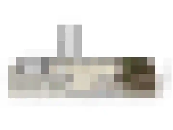 Koningin Julianastraat 113 Tholen thumbnail 44