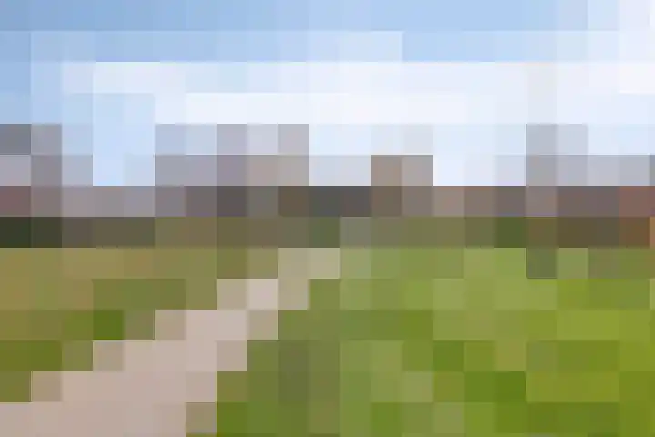 Koningin Julianastraat 113 Tholen thumbnail 54