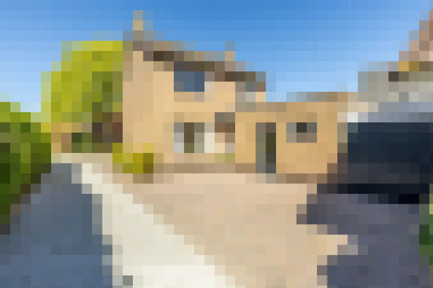 Koningin Julianastraat 12 Rijsbergen thumbnail 10