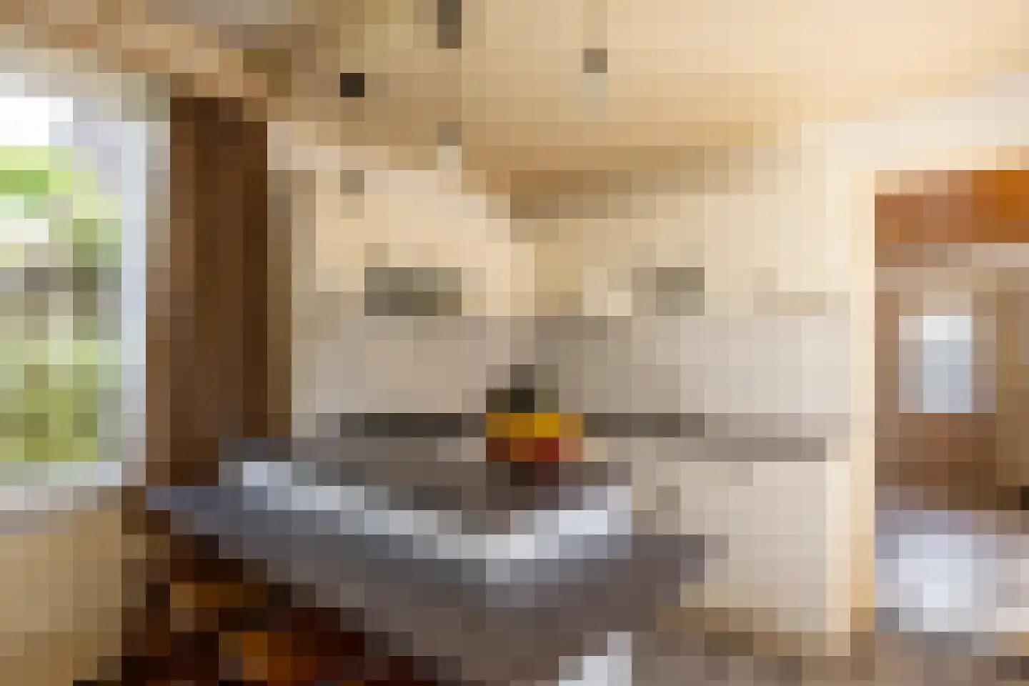 Koningin Julianastraat 12 Rijsbergen thumbnail 15