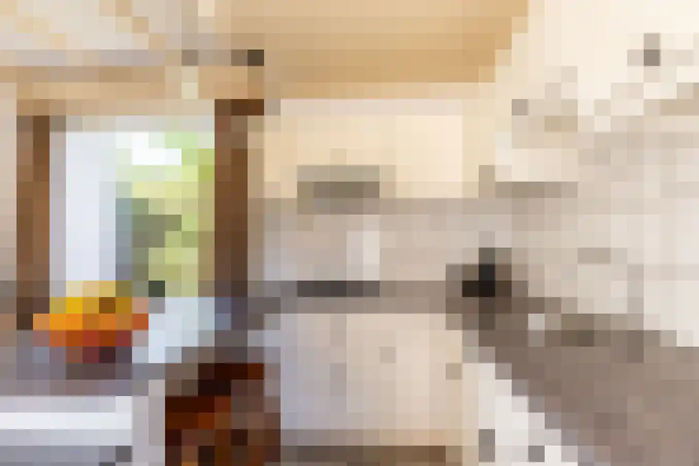 Koningin Julianastraat 12 Rijsbergen thumbnail 16