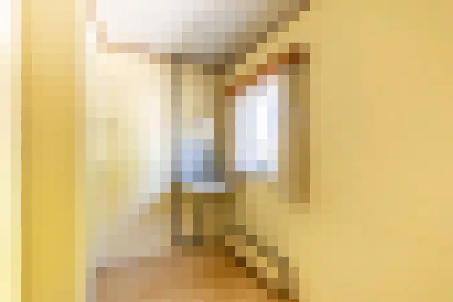 Koningin Julianastraat 12 Rijsbergen thumbnail 24
