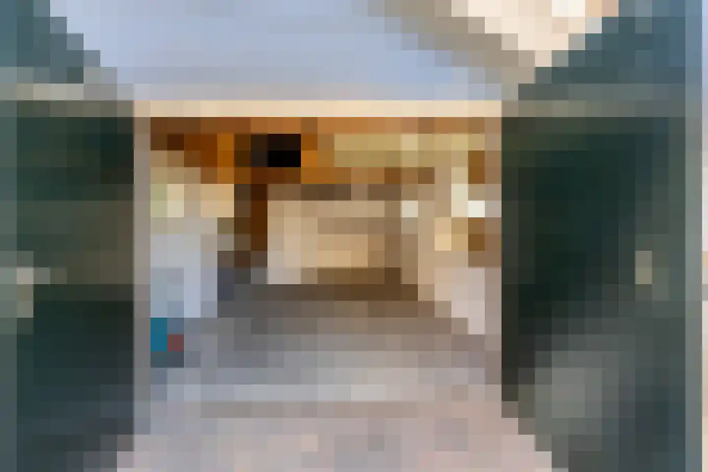 Koningin Julianastraat 12 Rijsbergen thumbnail 28