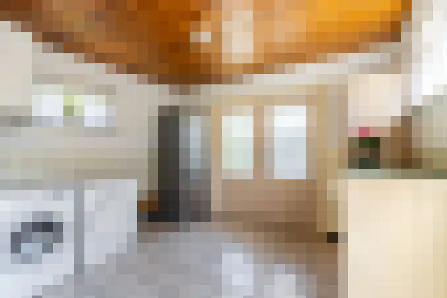Koningin Julianastraat 12 Rijsbergen thumbnail 5