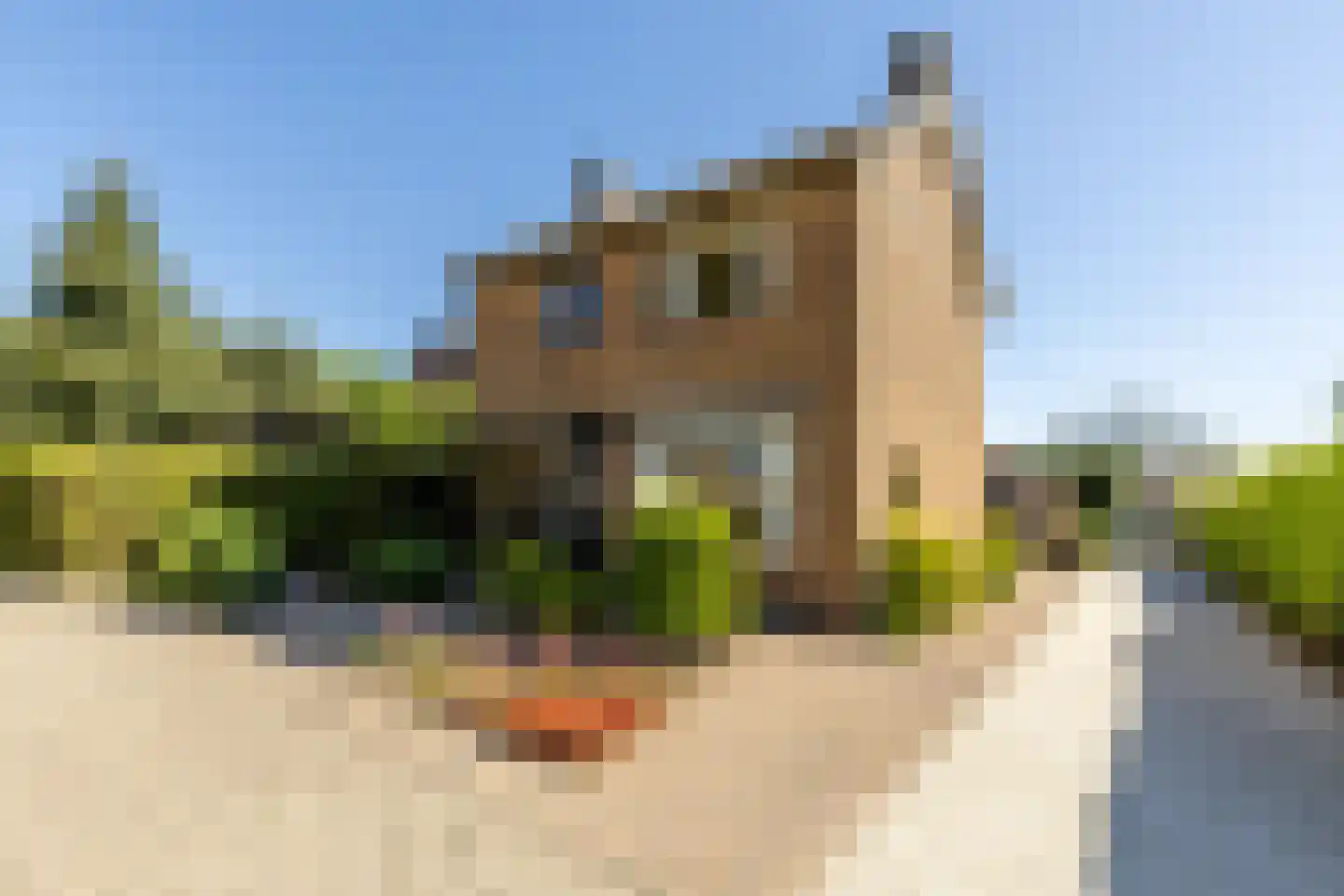 Koningin Julianastraat 12 Rijsbergen thumbnail 9