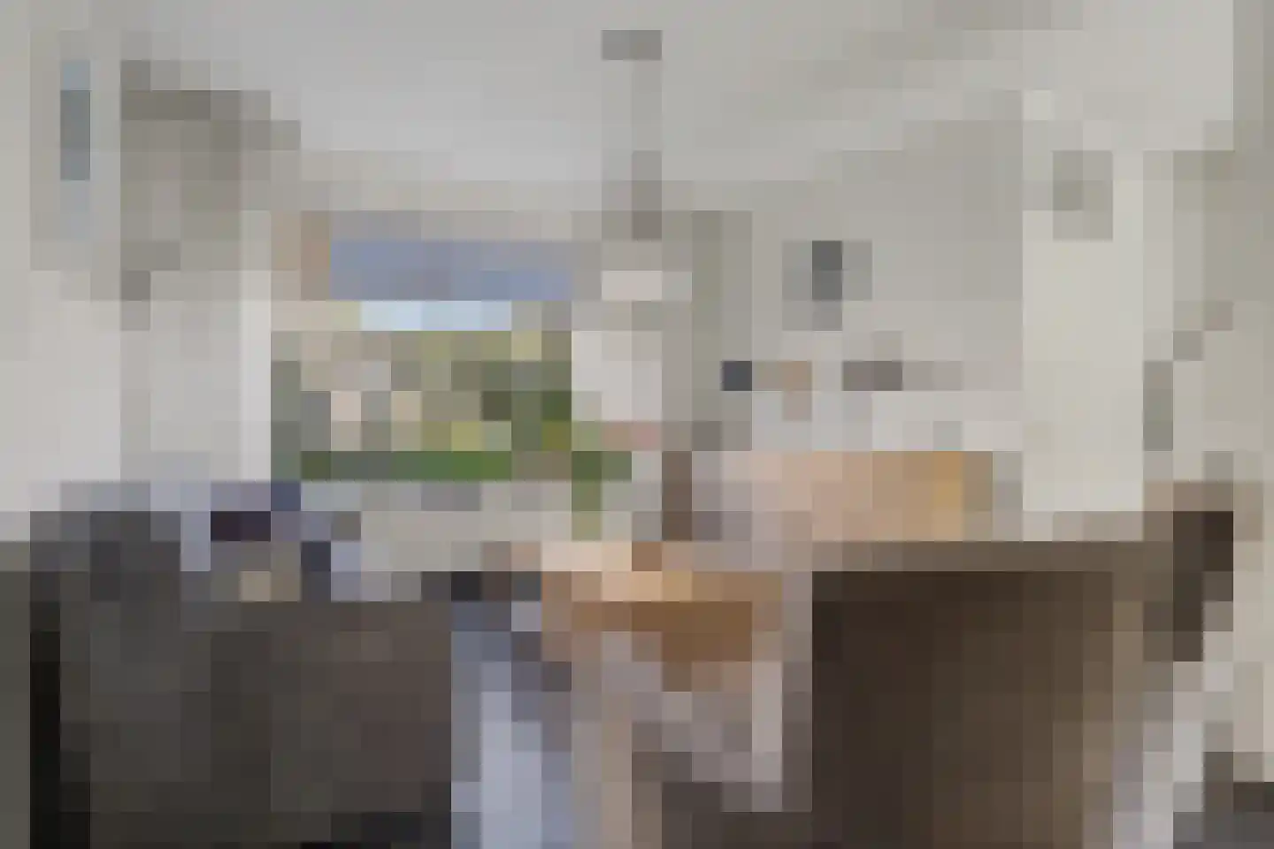 Koningin Julianastraat 121 Tholen thumbnail 11