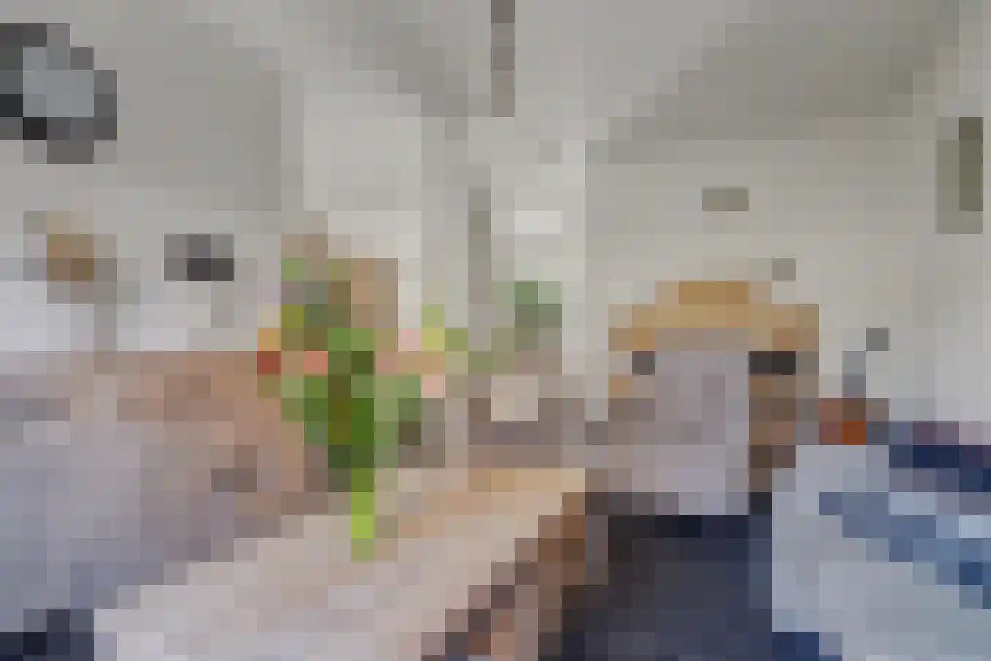 Koningin Julianastraat 121 Tholen thumbnail 12