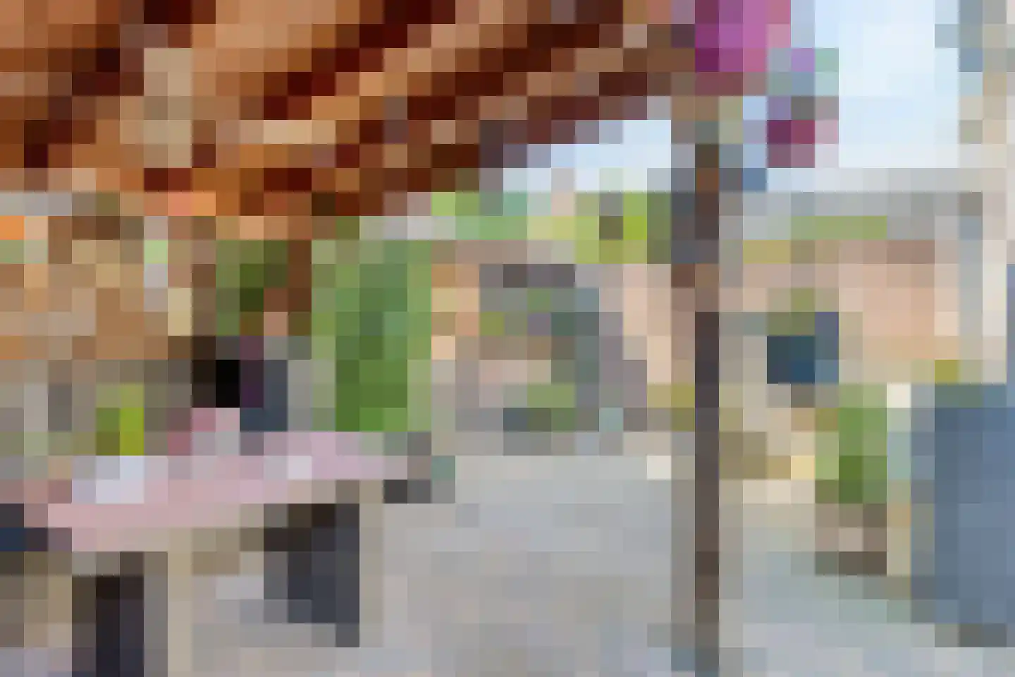 Koningin Julianastraat 13 Bergeijk thumbnail 36