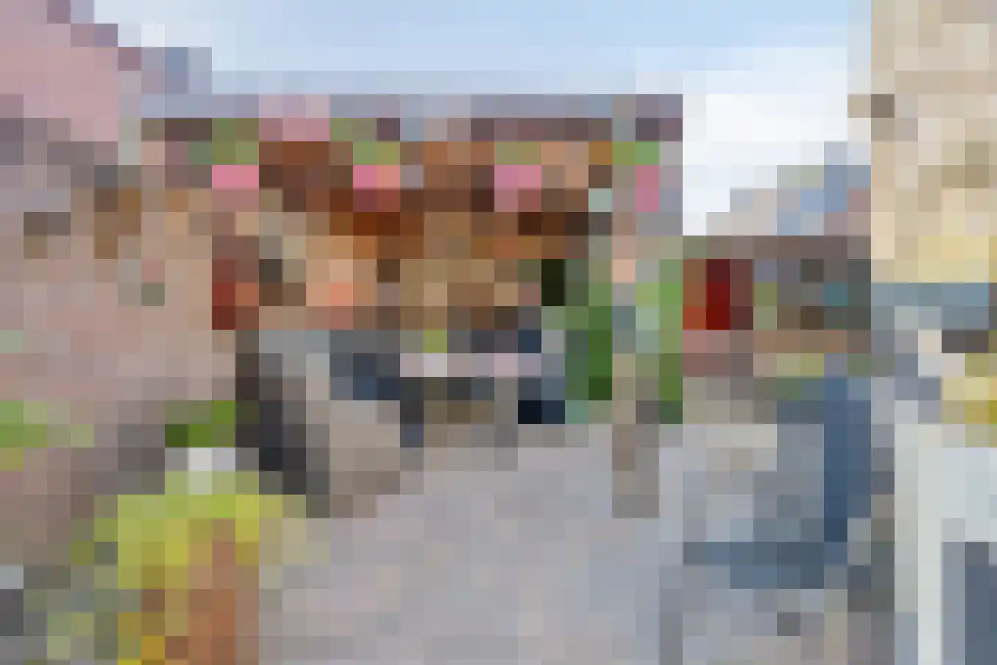 Koningin Julianastraat 13 Bergeijk thumbnail 38