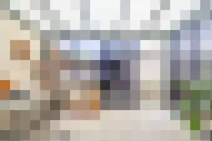 Koningin Julianastraat 14 Bruinisse thumbnail 10