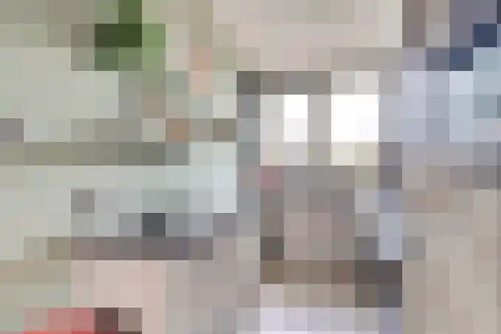 Koningin Julianastraat 14 Bruinisse thumbnail 11