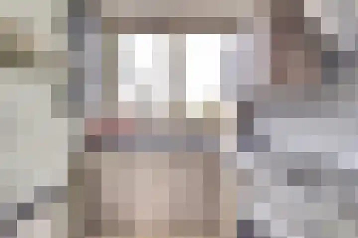 Koningin Julianastraat 14 Bruinisse thumbnail 12