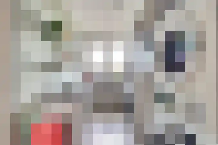 Koningin Julianastraat 14 Bruinisse thumbnail 13