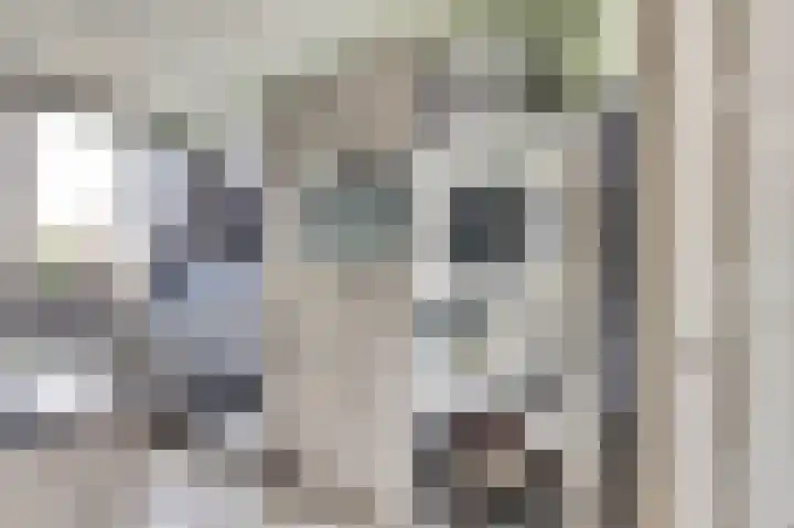 Koningin Julianastraat 14 Bruinisse thumbnail 14