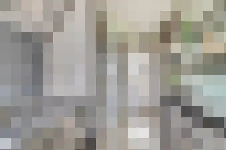 Koningin Julianastraat 14 Bruinisse thumbnail 15