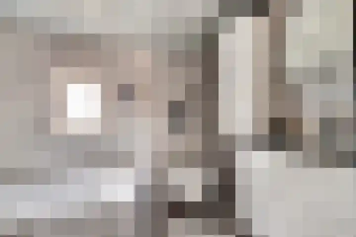 Koningin Julianastraat 14 Bruinisse thumbnail 21